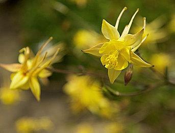 《堕落之主》发行商CI Games后续新作详情曝光